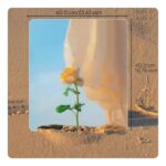 bedroom lifestyle accessories