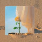 bedroom lifestyle accessories