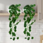 kitchen lifestyle products